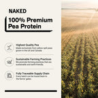 Pea Protein Powder 1lb - Unflavored